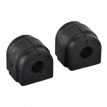 1999 BMW 318i Suspension Stabilizer Bar Bushing Kit Front Delphi TD1169W image 1 of 1