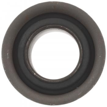 1979 Chrysler Cordoba Suspension Control Arm Bushing Front Lower Delphi TD4882W image 2 of 4