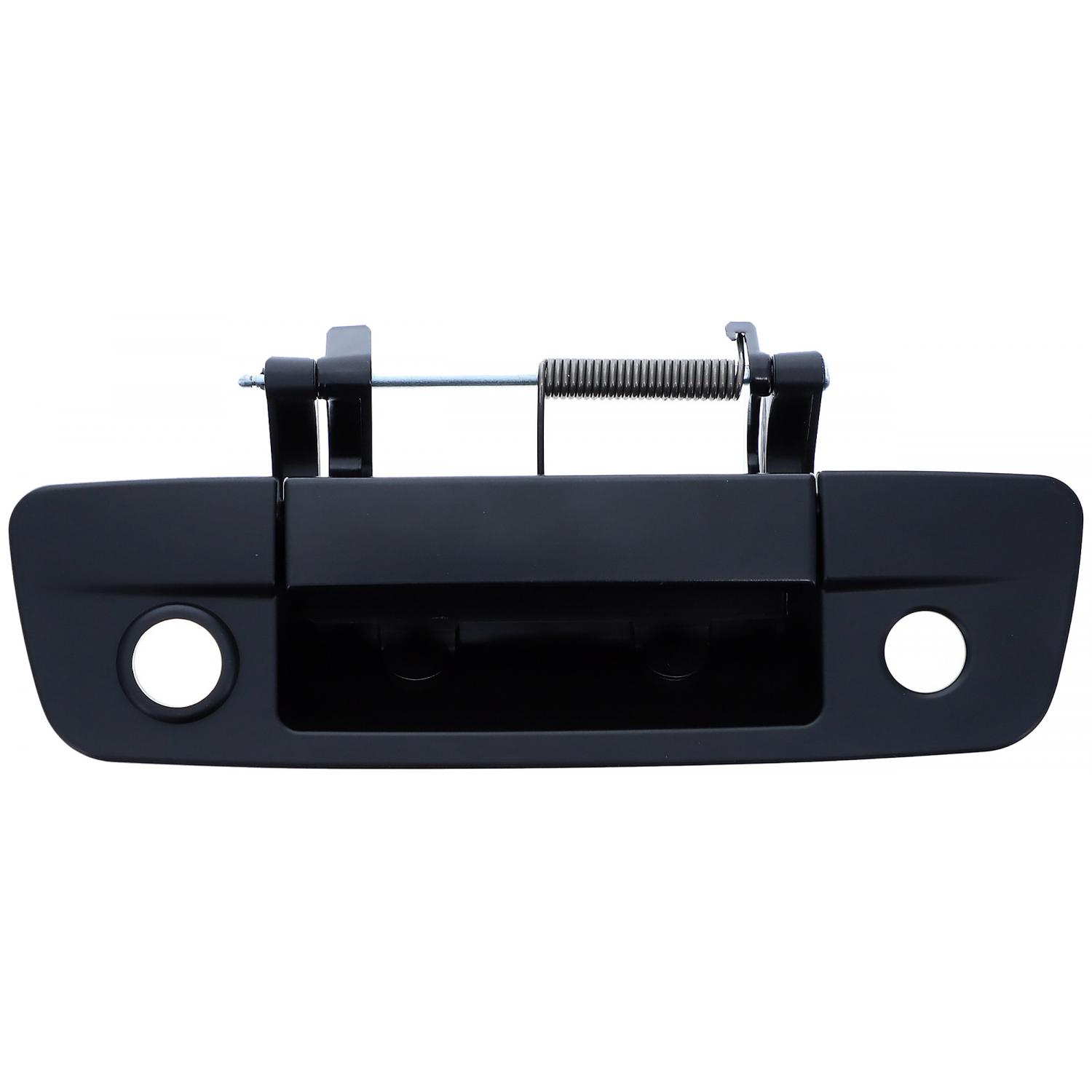 Dorman 15700 Tailgate Handle product image 1 of 4