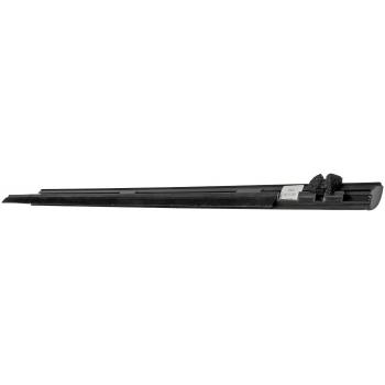 2006 Ford F-150 Door Belt Molding