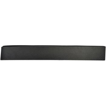 2010 Dodge Grand Caravan Door Applique