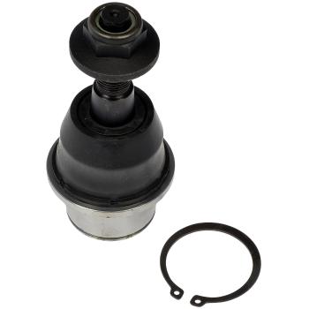 2015 Ram 1500 Suspension Ball Joint Front Lower Dorman 539979 image 4 of 4