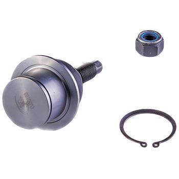 2007 Ford F-150 Suspension Ball Joint Front Lower Dorman 539986 image 1 of 2