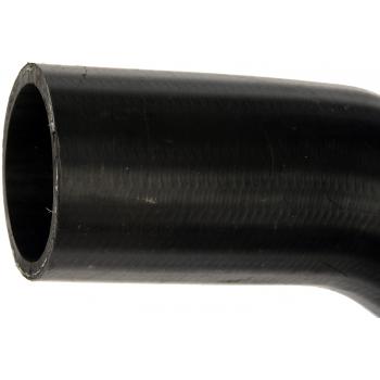1981 Ford F-150 Fuel Filler Hose Dorman 573012 image 2 of 4