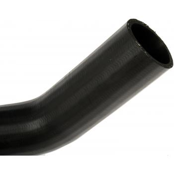 1981 Ford F-150 Fuel Filler Hose Dorman 573012 image 3 of 4