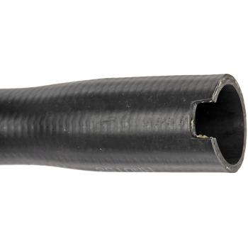 2011 Chevrolet Malibu Fuel Filler Hose Dorman 573068 image 3 of 4