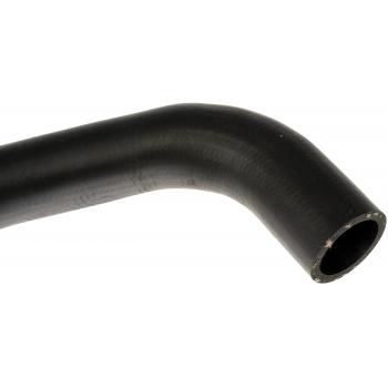 1998 Toyota RAV4 Fuel Filler Hose Dorman 573081 image 3 of 4