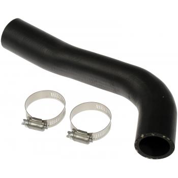 1998 Toyota RAV4 Fuel Filler Hose Dorman 573081 image 4 of 4