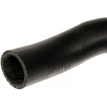 1998 Acura Integra Fuel Filler Hose Dorman 573138 image 2 of 4