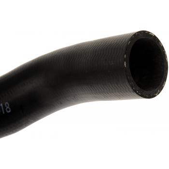 1998 Acura Integra Fuel Filler Hose Dorman 573138 image 3 of 4
