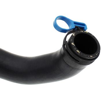 2003 Lincoln LS Radiator Coolant Hose Upper Dorman 626759 image 3 of 4