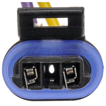 2000 Buick Century Ignition Knock (Detonation) Sensor Harness