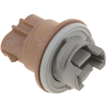 1999 Ford F-250 Parking Light Bulb Socket Rear Dorman 84768 image 2 of 4