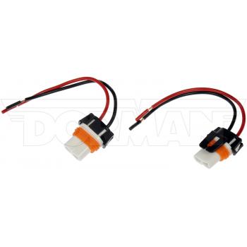 Dorman 90808 - Headlight Socket Dorman 90808 Headlight Socket product image 4 of 4