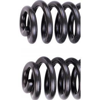 2015 Ford F-250 Super Duty Coil Spring Front Dorman 929901 image 2 of 4