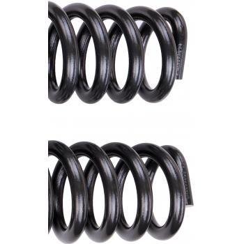 2015 Ford F-250 Super Duty Coil Spring Front Dorman 929901 image 3 of 4