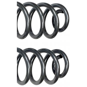 2020 Ram 1500 Coil Spring Rear Dorman 929921 image 4 of 4