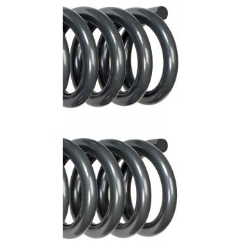 2015 Ford F-350 Super Duty Coil Spring Front Dorman 929945 image 3 of 4