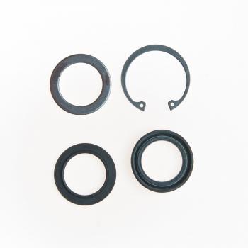 1982 Pontiac Firebird Steering Gear Pitman Shaft Seal Kit Lower Edelmann 8530 image 1 of 1