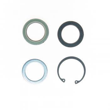 1999 Chevrolet P30 Steering Gear Pitman Shaft Seal Kit Lower Edelmann 8717 image 1 of 1
