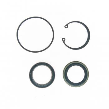2001 Ford E-250 Econoline Steering Gear Pitman Shaft Seal Kit Edelmann 8783 image 1 of 1