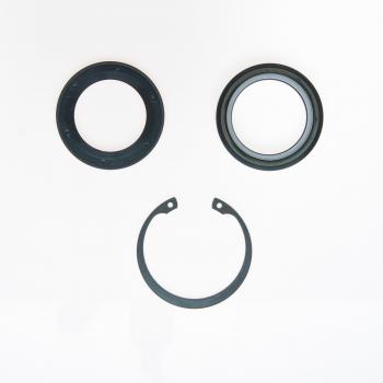 2008 Ford F-250 Super Duty Steering Gear Pitman Shaft Seal Kit Lower Edelmann 8904 image 1 of 1