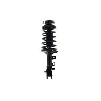 1997 Infiniti QX4 Suspension Strut and Coil Spring Assembly