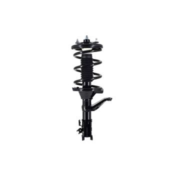 2005 Honda Element Suspension Strut and Coil Spring Assembly