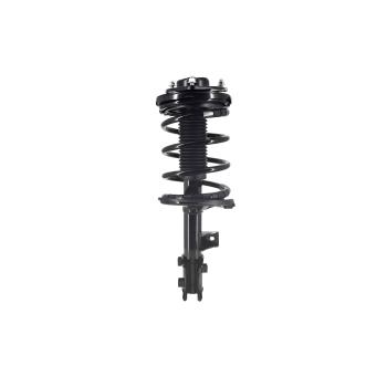 2009 Kia Magentis Suspension Strut and Coil Spring Assembly