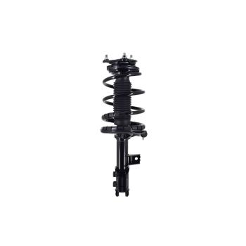 2010 Hyundai Elantra Suspension Strut and Coil Spring Assembly