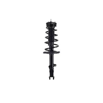 2006 Toyota Avalon Suspension Strut and Coil Spring Assembly