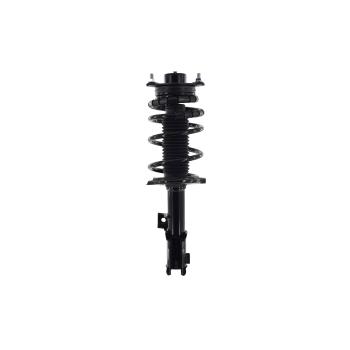 2011 Hyundai Genesis Coupe Suspension Strut and Coil Spring Assembly