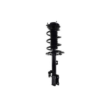 2019 Lexus RX350L Suspension Strut and Coil Spring Assembly