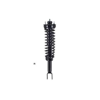 1997 Honda Civic Suspension Strut and Coil Spring Assembly