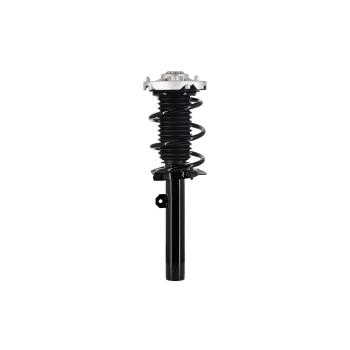 2019 BMW X1 Suspension Strut and Coil Spring Assembly