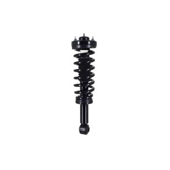 2013 Ford F-150 Suspension Strut and Coil Spring Assembly