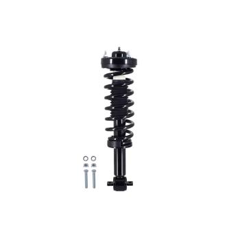 2014 Ford F-150 Suspension Strut and Coil Spring Assembly