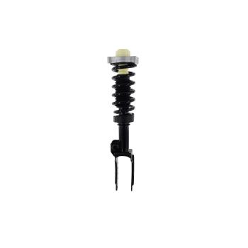 2006 Porsche Cayenne Suspension Strut and Coil Spring Assembly