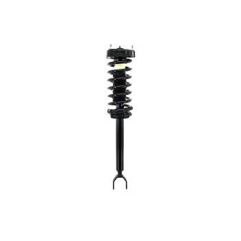 2009 Mercedes-Benz E63 AMG Suspension Strut and Coil Spring Assembly