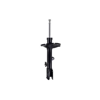 2003 Toyota RAV4 Suspension Strut