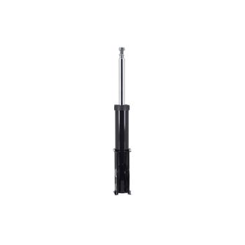 1982 Pontiac Firebird Suspension Strut