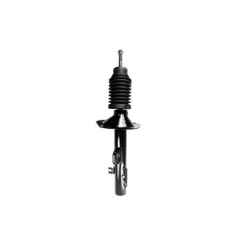 2005 Ford Freestyle Suspension Strut