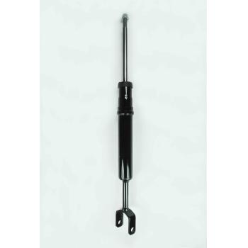 2004 Audi A6 Suspension Strut