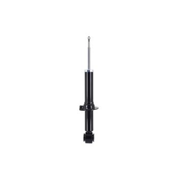 2005 Ford F-150 Suspension Strut