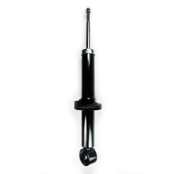 2013 Ford F-150 Suspension Strut