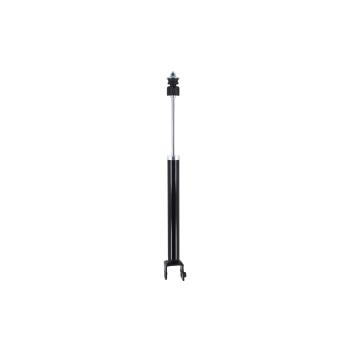2020 Nissan Maxima Shock Absorber Rear FCS Automotive DT346853 image 1 of 1