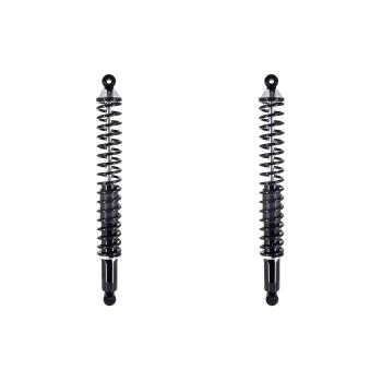 2008 Dodge Ram 1500 Shock Absorber and Coil Spring Assembly Rear FCS Automotive SC00005 image 1 of 4