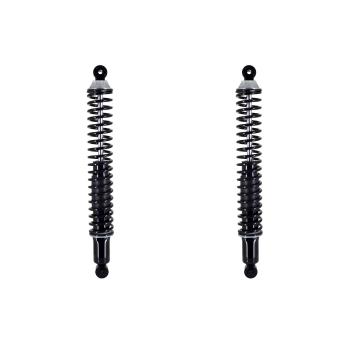 2009 Dodge Dakota Shock Absorber and Coil Spring Assembly