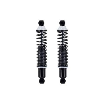 2006 Ford Freestar Shock Absorber and Coil Spring Assembly