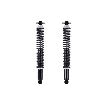 1995 Chevrolet S10 Shock Absorber and Coil Spring Assembly